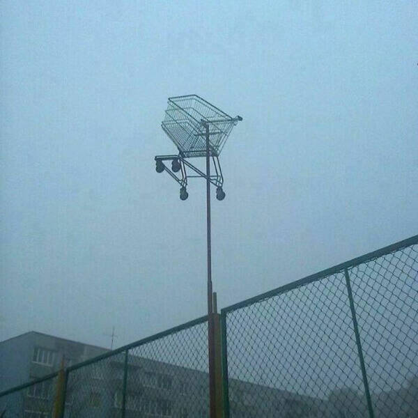 What Is Going On Here? (24 pics)
