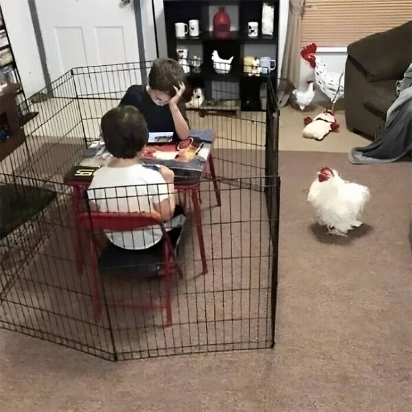 What Is Going On Here? (24 pics)
