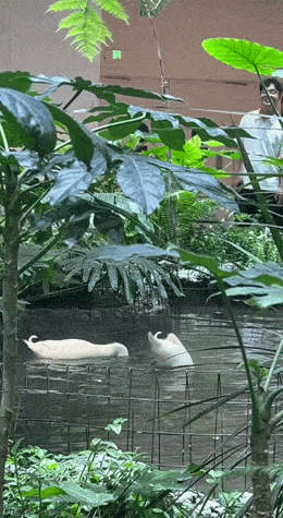 Acid GIFs, August 31 (25 gifs)
