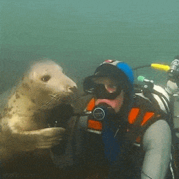 Acid GIFs, August 31 (25 gifs)
