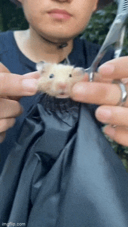 Acid GIFs, August 31 (25 gifs)