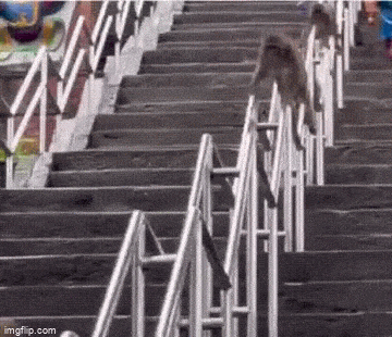 Acid GIFs, August 31 (25 gifs)