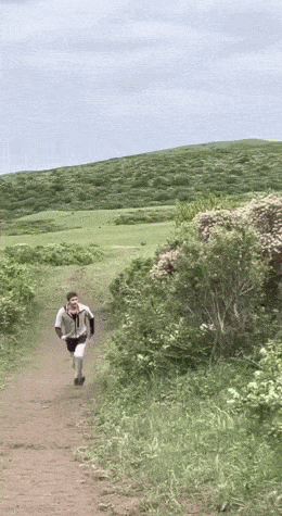 Acid GIFs, August 31 (25 gifs)