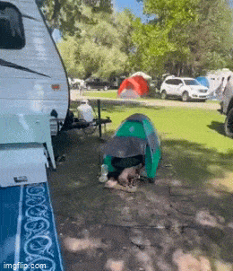 Acid GIFs, August 31 (25 gifs)