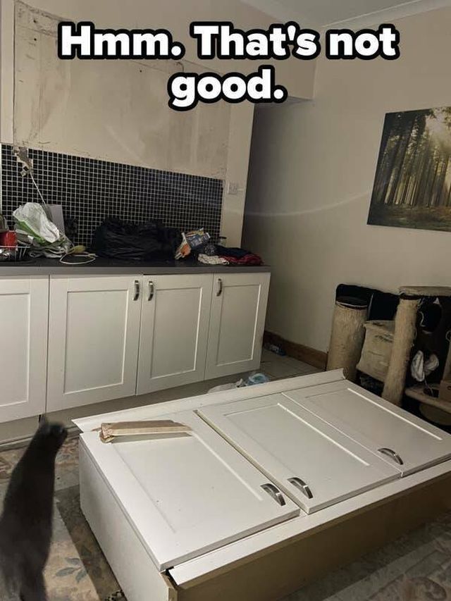 Life Fails (26 pics)