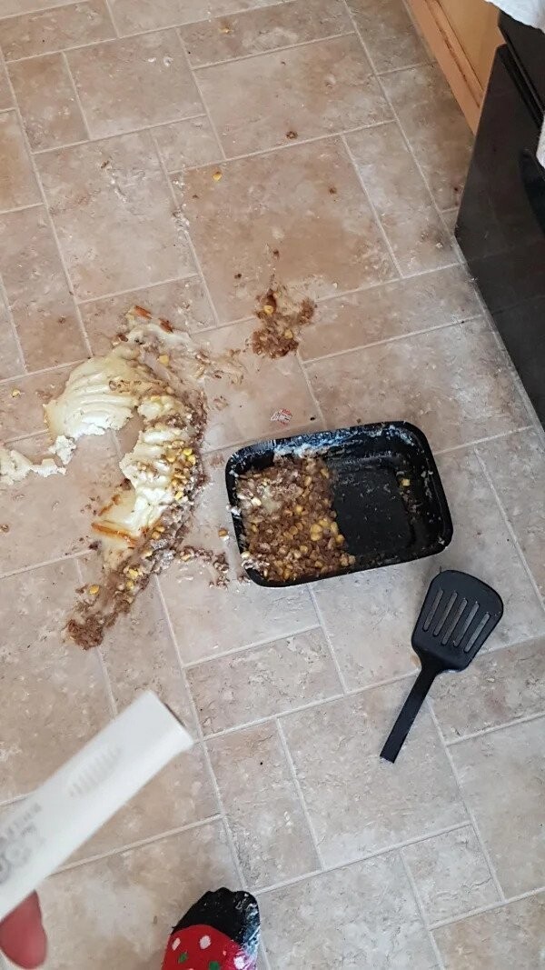 Bad Days Happen (20 pics)