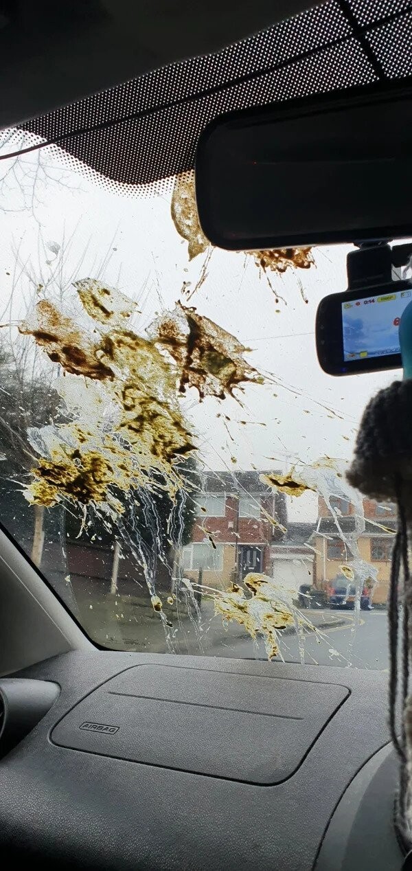 Bad Days Happen (20 pics)
