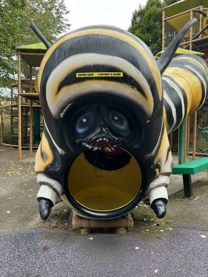 What Is Going On Here? (20 pics)