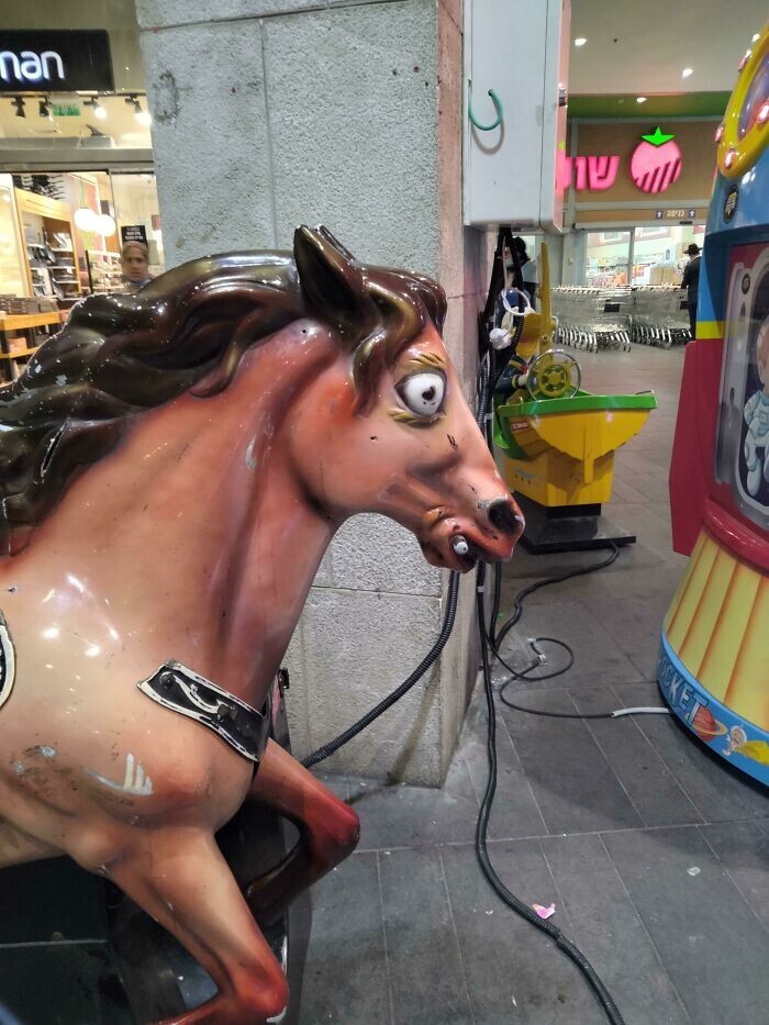 What Is Going On Here? (20 pics)
