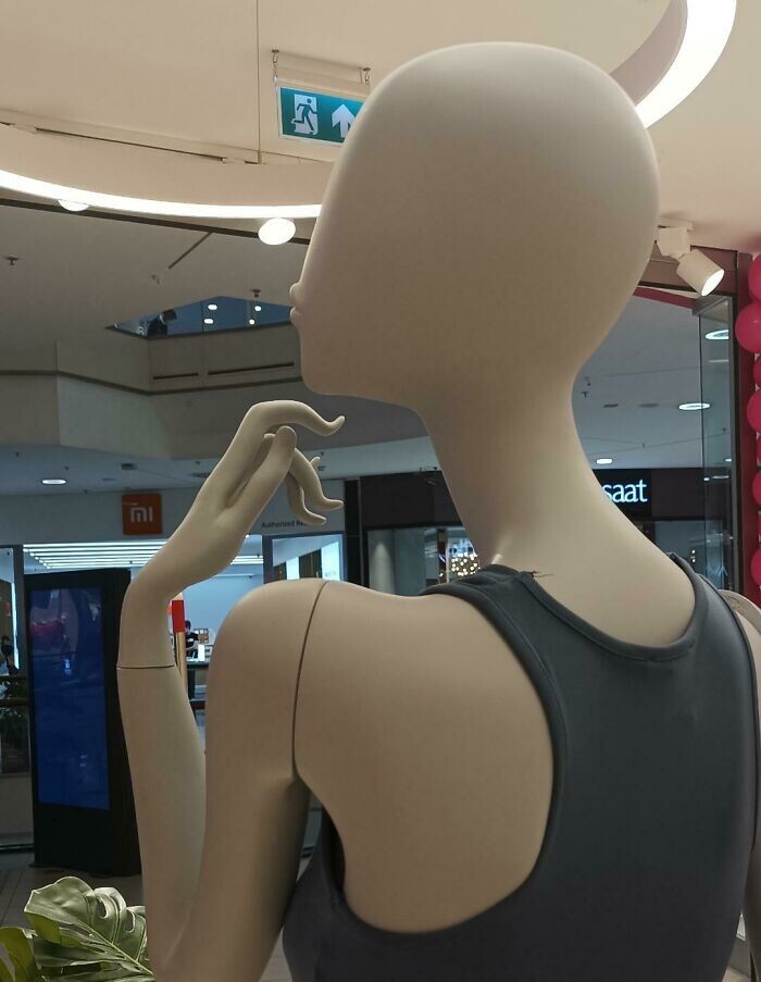 What Is Going On Here? (20 pics)