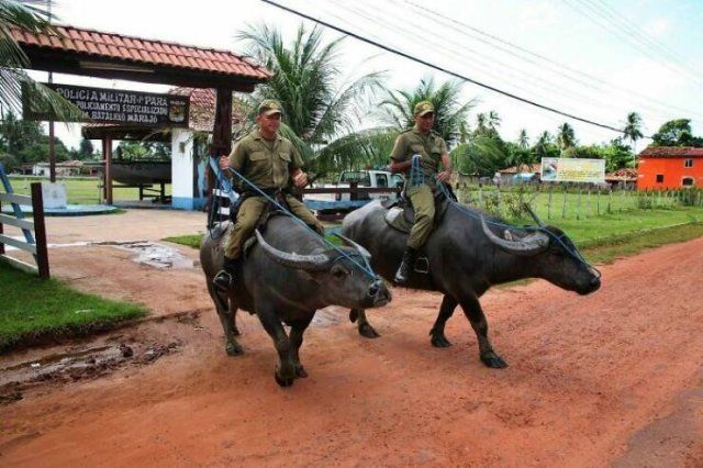 Interesting And Unusual Photos From Brazil (21 pics)