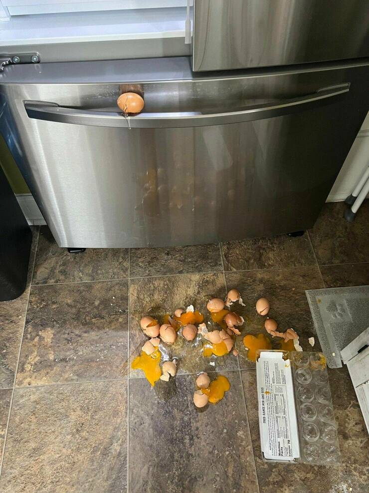 Daily Pictures. Part 1 (71 pics)