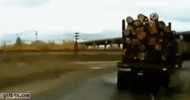 Acid GIFs, September 4 (25 gifs)