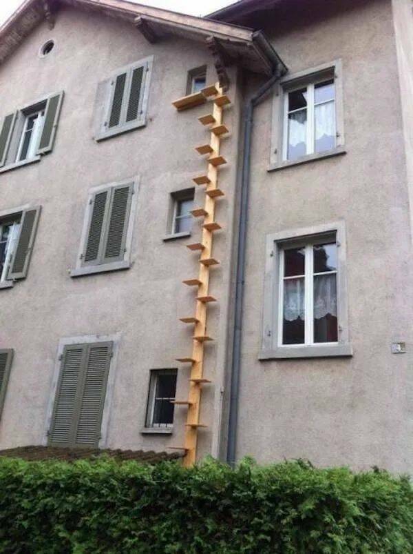 Daily Pictures. Part 2 (74 pics)