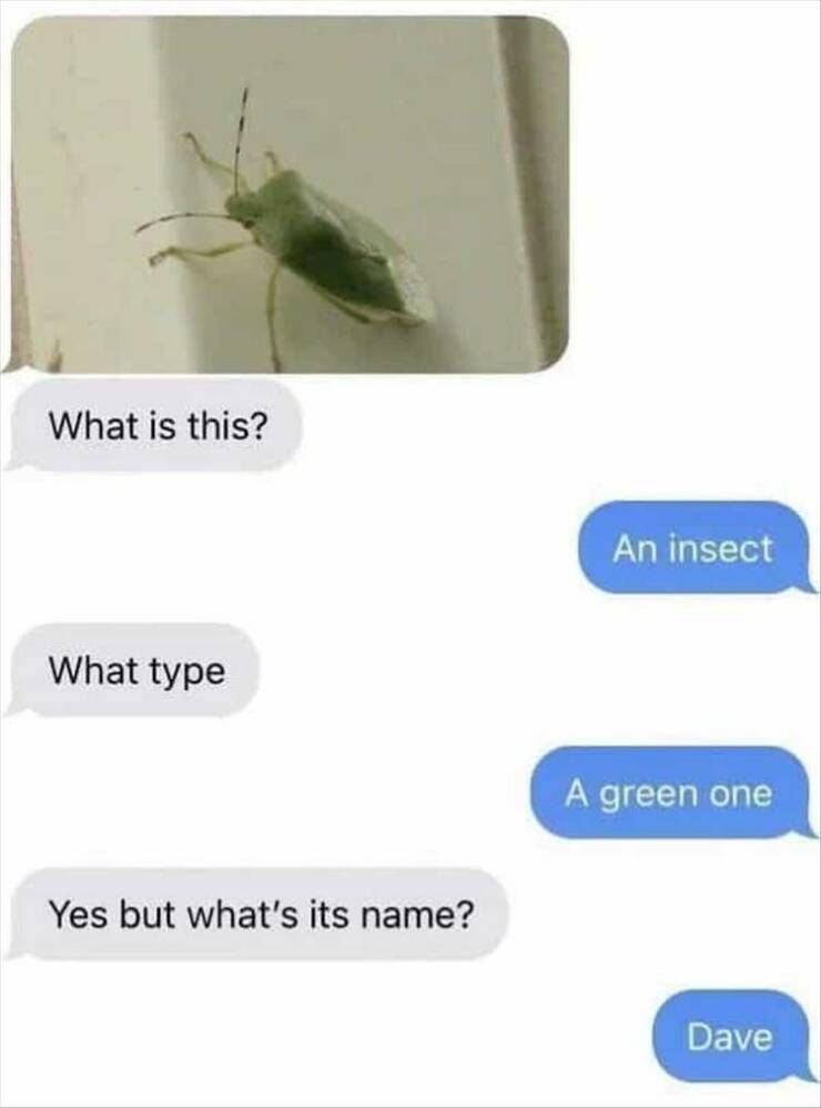 Daily Pictures. Part 2 (74 pics)