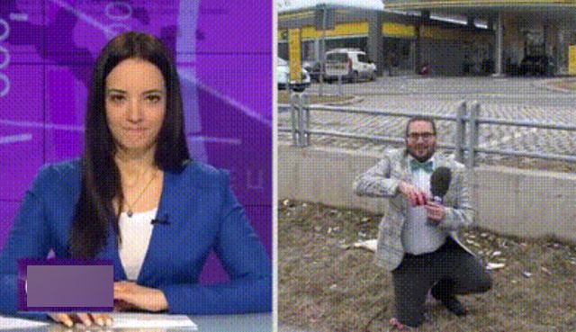 Acid GIFs, September 6 (25 gifs)