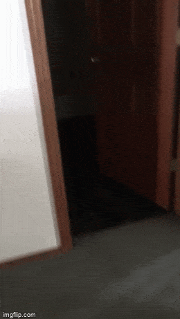 Acid GIFs, September 6 (25 gifs)