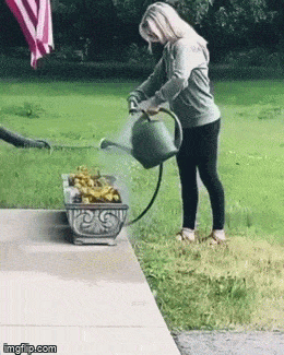 Acid GIFs, September 6 (25 gifs)