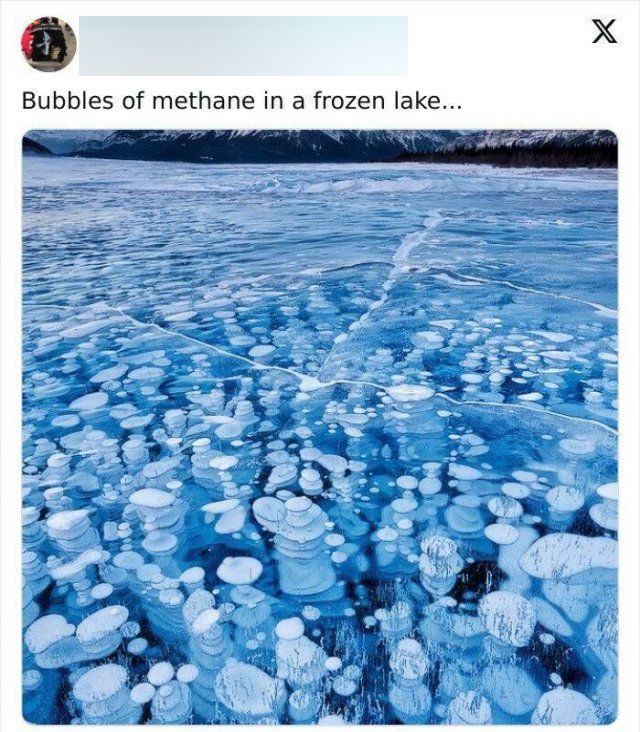 Unusual Finds And Discoveries (20 pics)