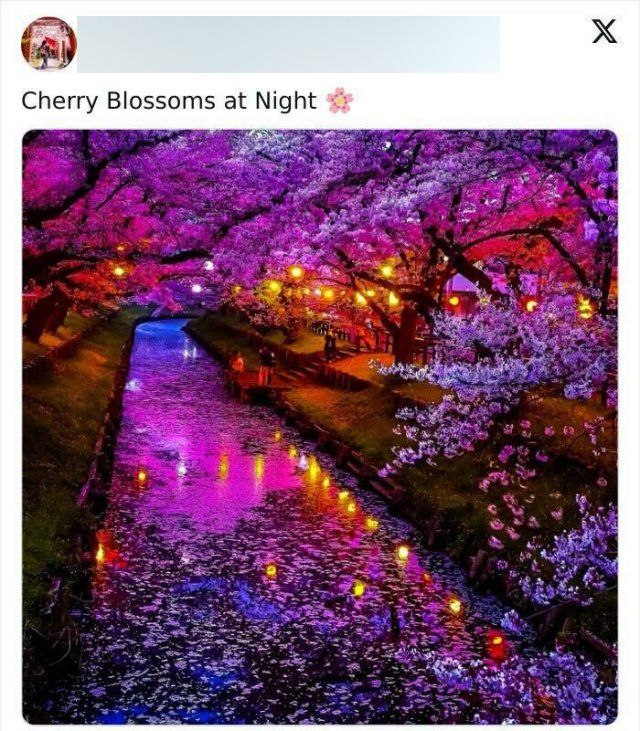 Amazing Photos From Japan (26 pics)