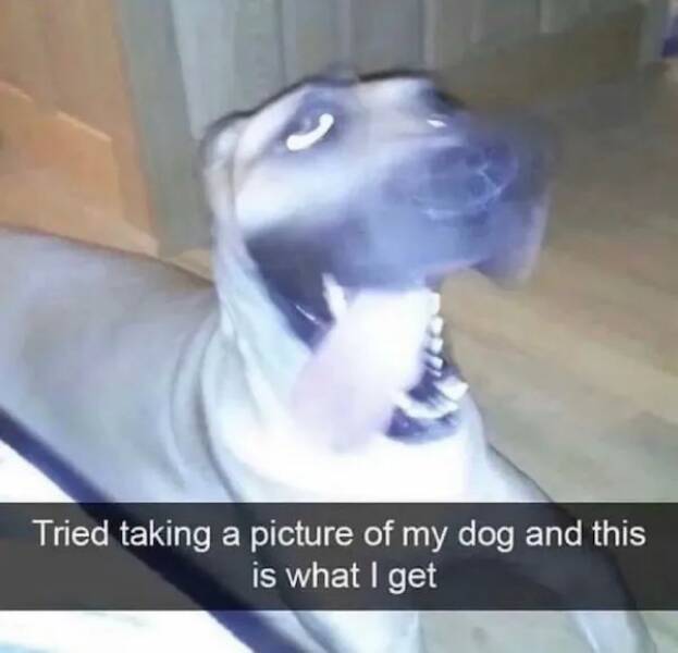 Daily Pictures. Part 1 (71 pics)