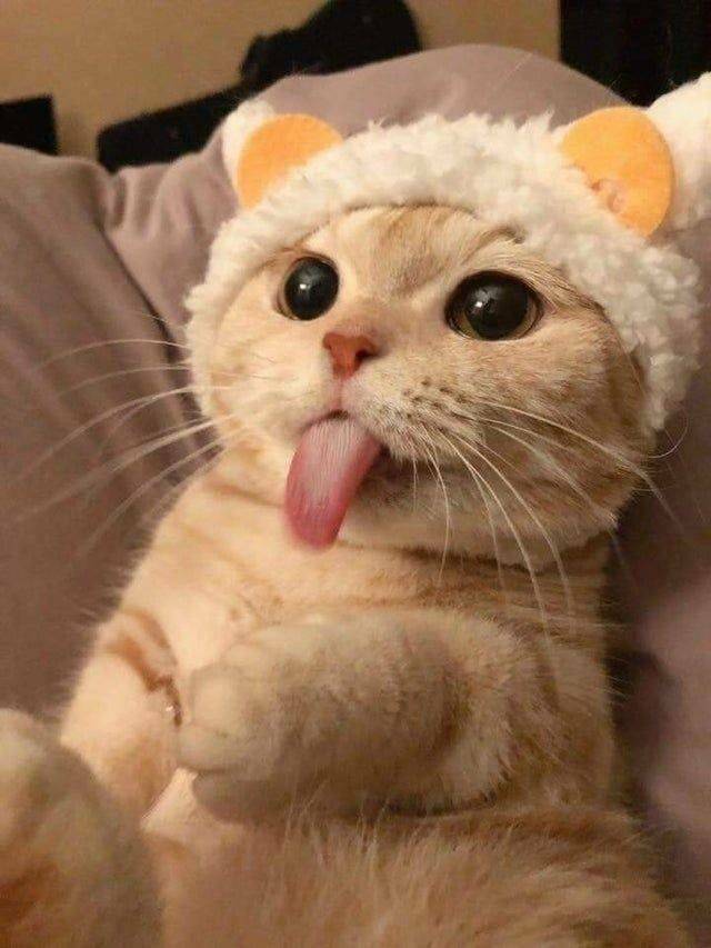 Daily Pictures. Part 2 (70 pics)