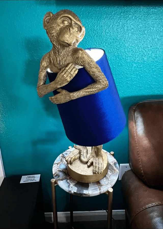 Strange Interior Items (16 pics)