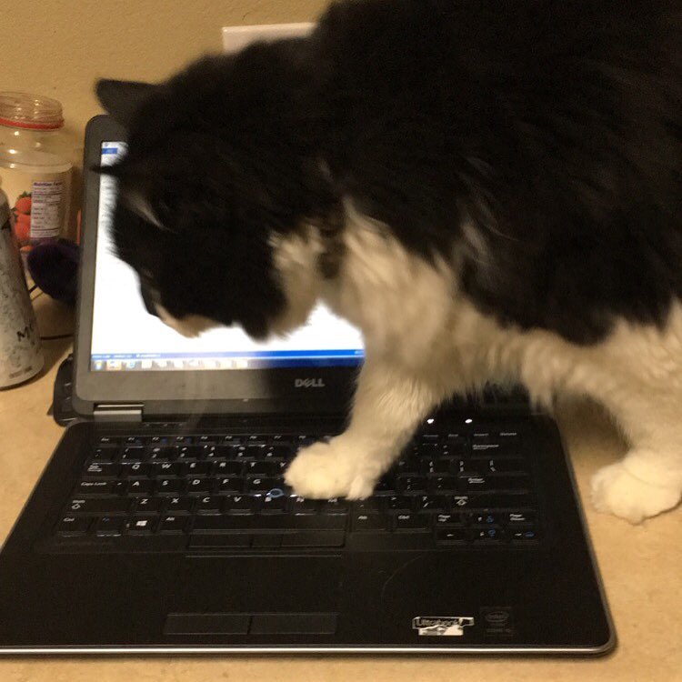 They Don't Like Work (17 pics)