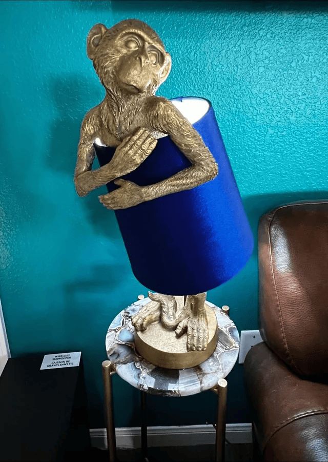 Strange Interior Items (16 pics)