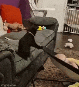 Acid GIFs, September 8 (25 gifs)