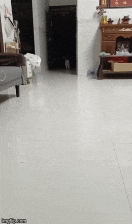Acid GIFs, September 8 (25 gifs)