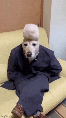 Acid GIFs, September 8 (25 gifs)