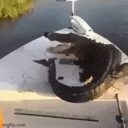 Acid GIFs, September 8 (25 gifs)