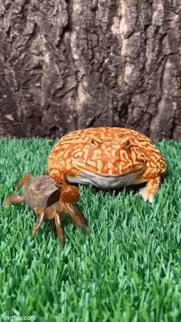Acid GIFs, September 8 (25 gifs)