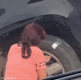 Acid GIFs, September 8 (25 gifs)