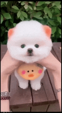 Acid GIFs, September 8 (25 gifs)