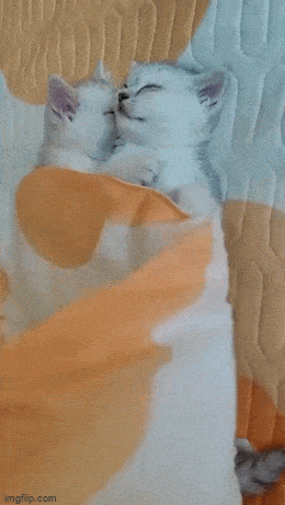 Acid GIFs, September 8 (25 gifs)