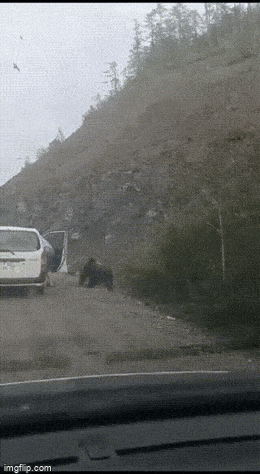 Acid GIFs, September 8 (25 gifs)