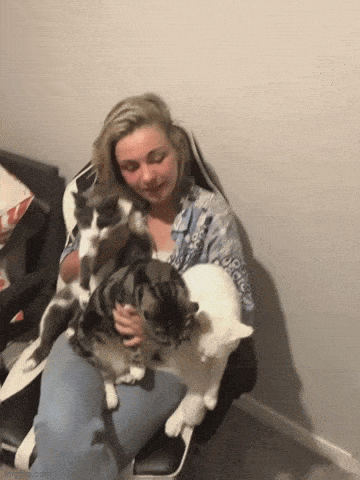 Acid GIFs, September 11 (25 gifs)