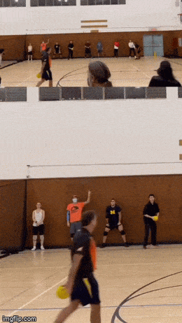 Acid GIFs, September 11 (25 gifs)