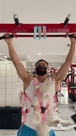 Acid GIFs, September 11 (25 gifs)