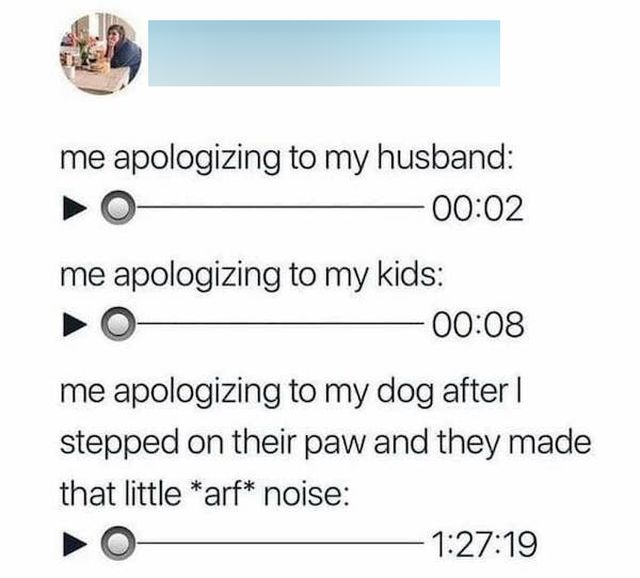 Memes With Good Boys (35 pics)