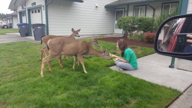 Unexpected Meetings (20 pics)