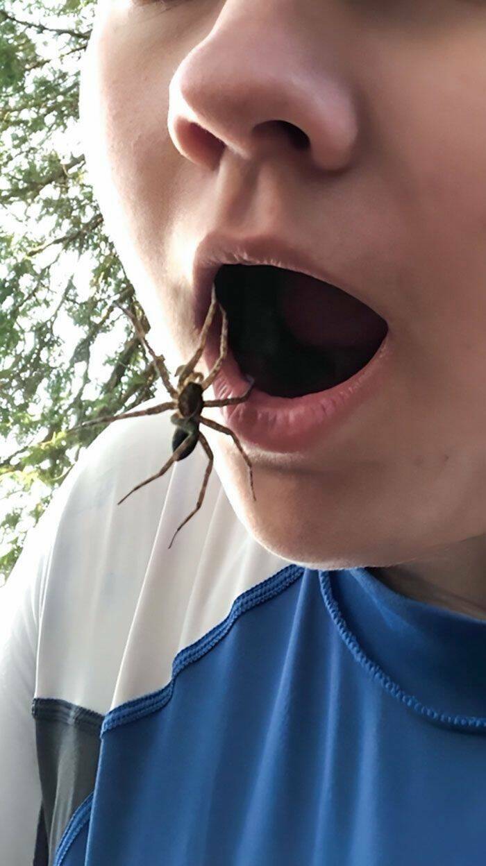Daily Pictures. Part 1 (79 pics)