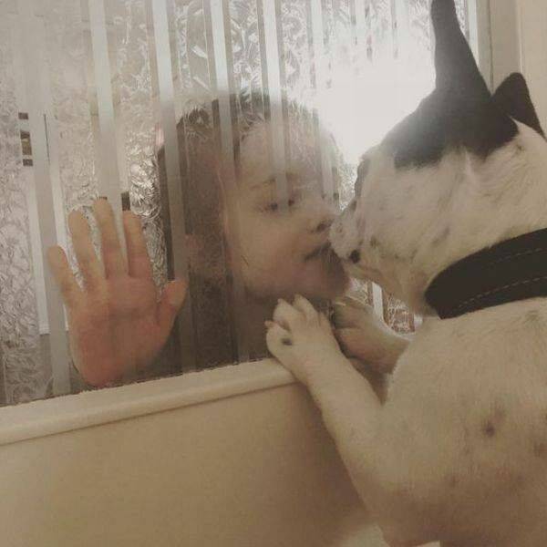 Daily Pictures. Part 1 (79 pics)