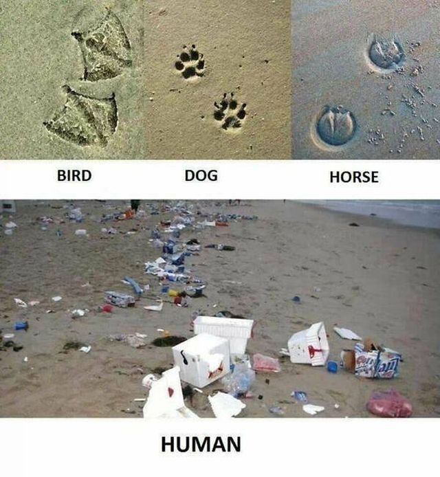 Truthful Thoughts (28 pics)