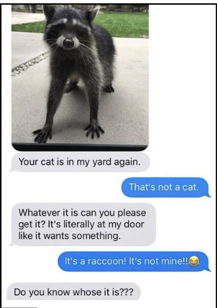 Daily Pictures. Part 2 (70 pics)