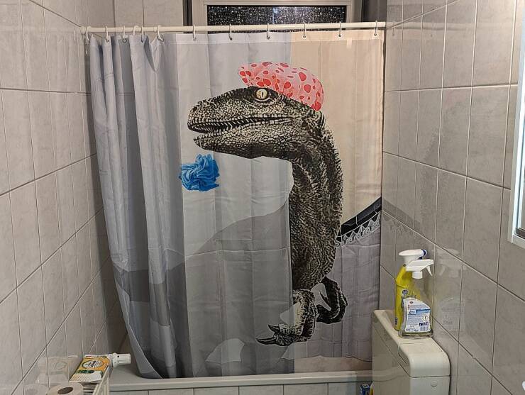 Daily Pictures. Part 1 (74 pics)
