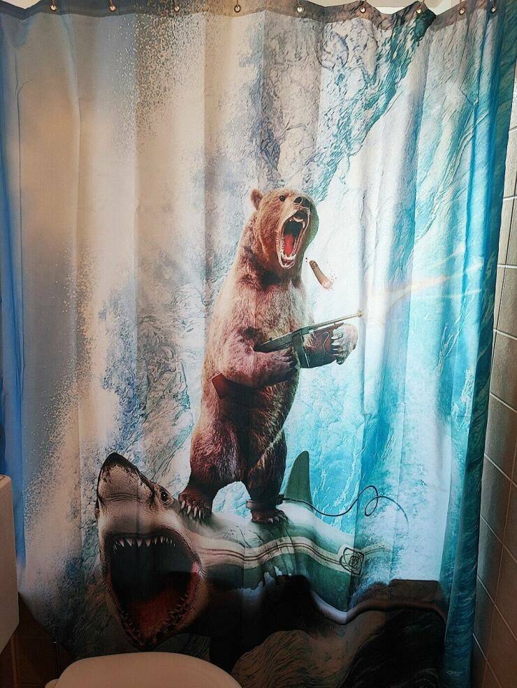 Daily Pictures. Part 1 (74 pics)