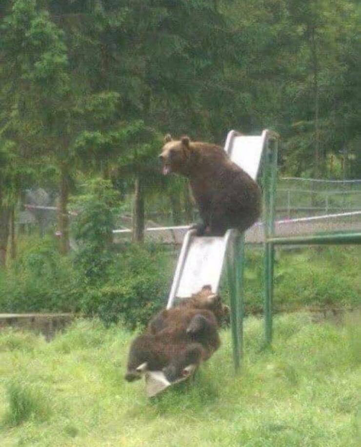 Daily Pictures. Part 2 (73 pics)